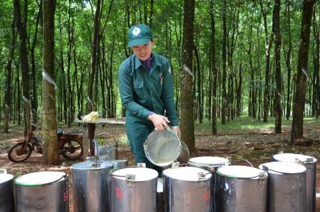 Nhiều giải pháp động viên người lao động thi đua vượt khó